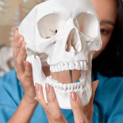 jaw